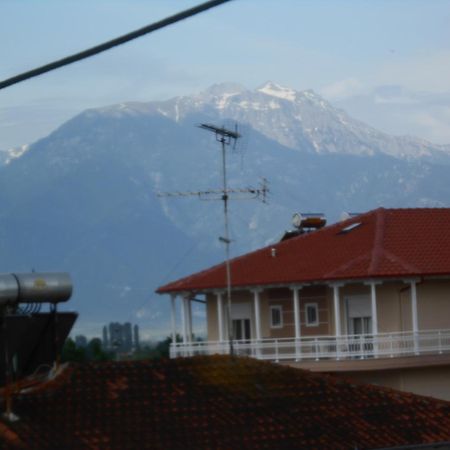 Hotel Germany Paralia Katerinis Room photo
