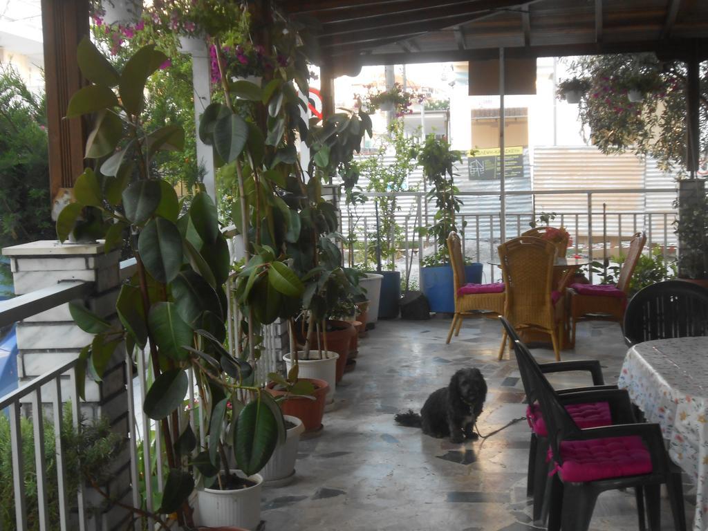 Hotel Germany Paralia Katerinis Exterior photo